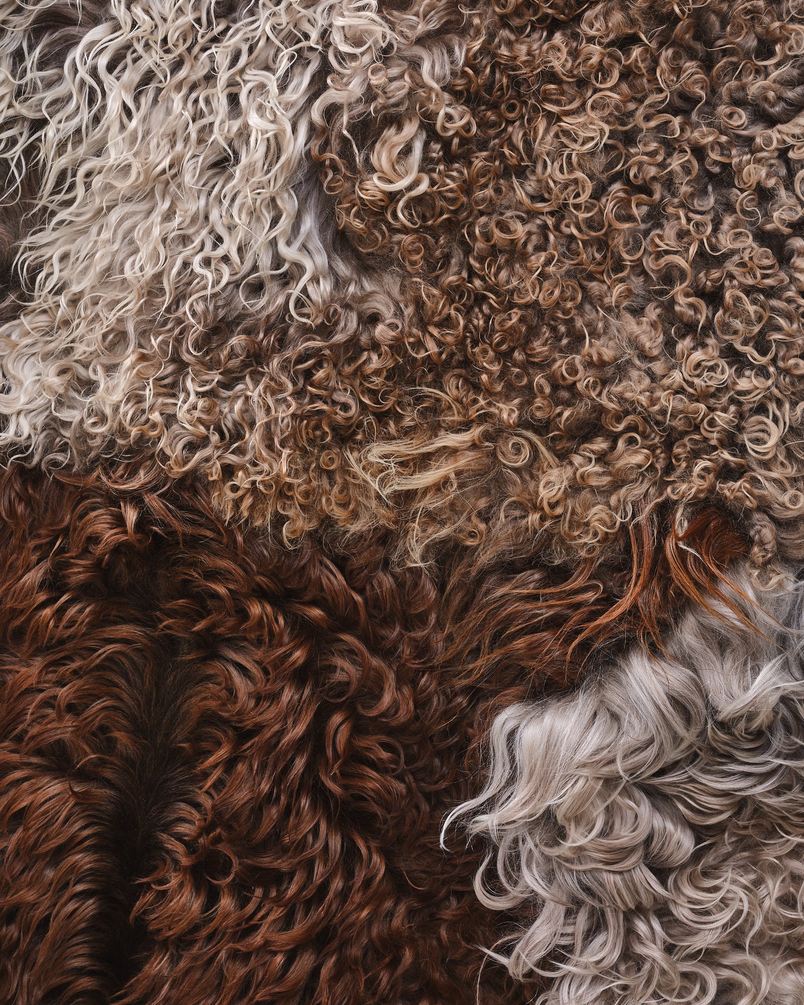 Mixed Goatskin