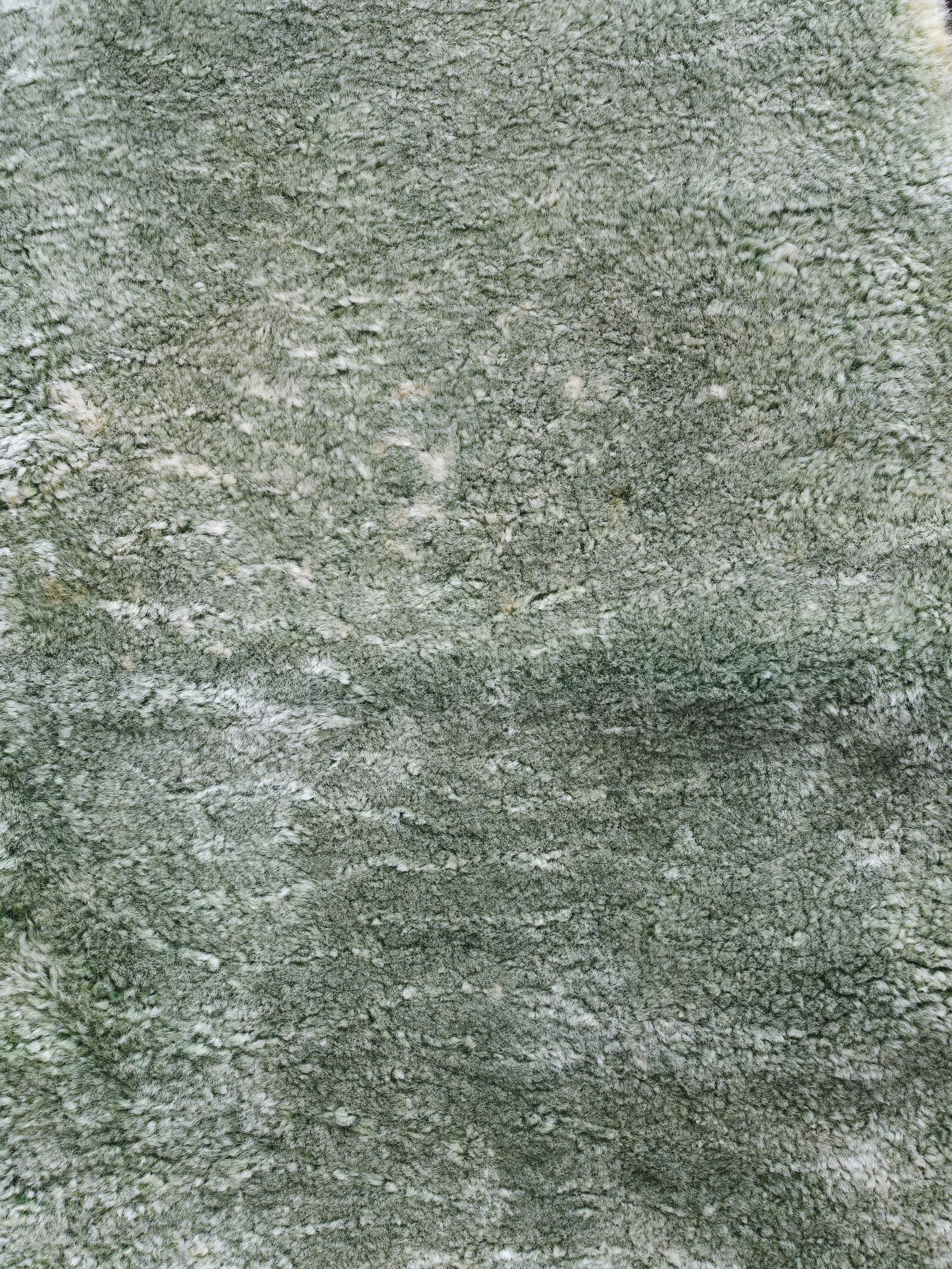 Snowy Green