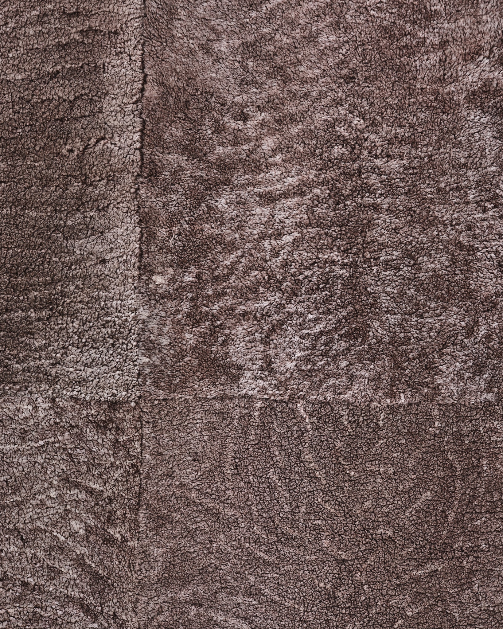 Snowy Brown