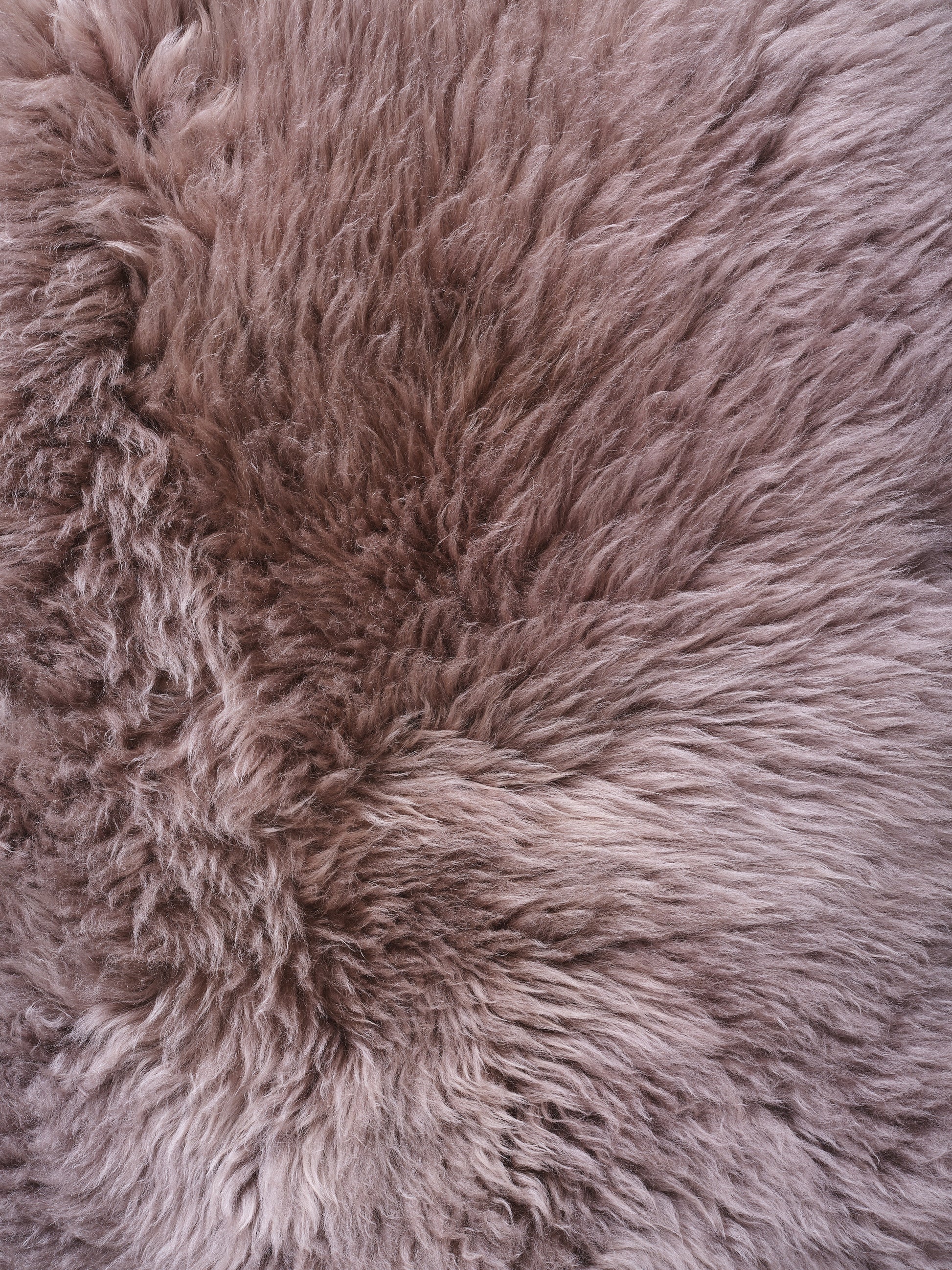 Deep Taupe