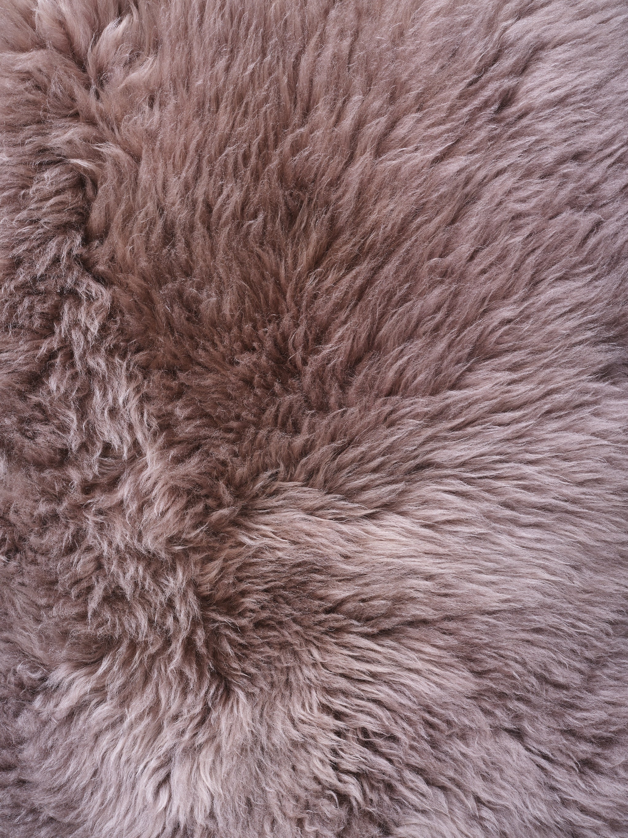 Deep Taupe
