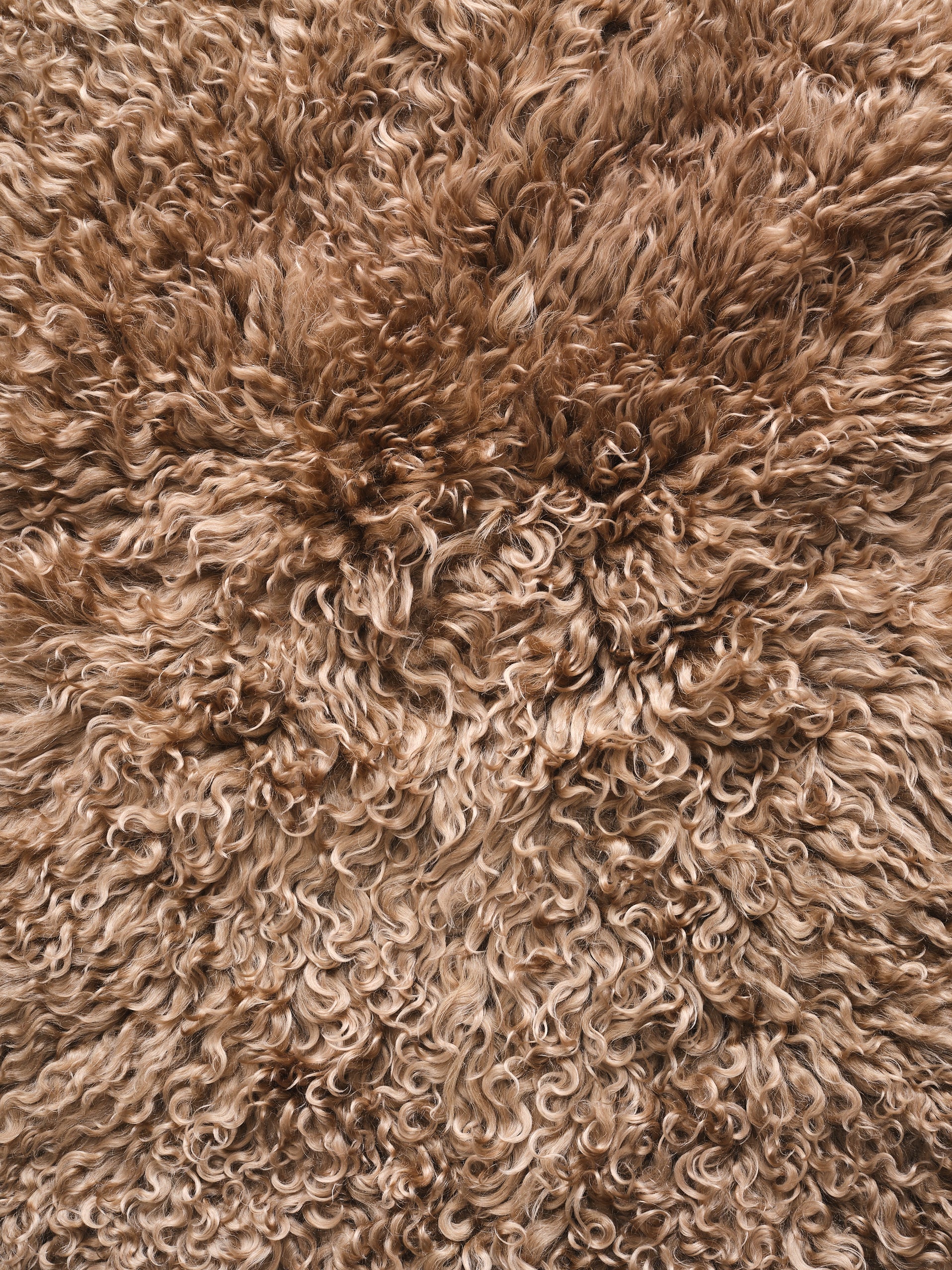 Goatskin Bronze – Grand Splendid