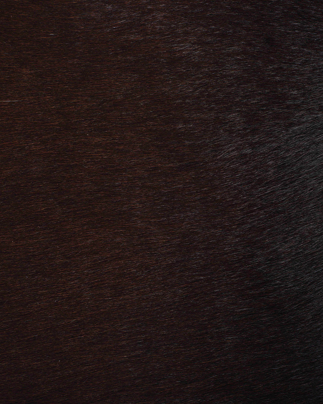 Dark Espresso