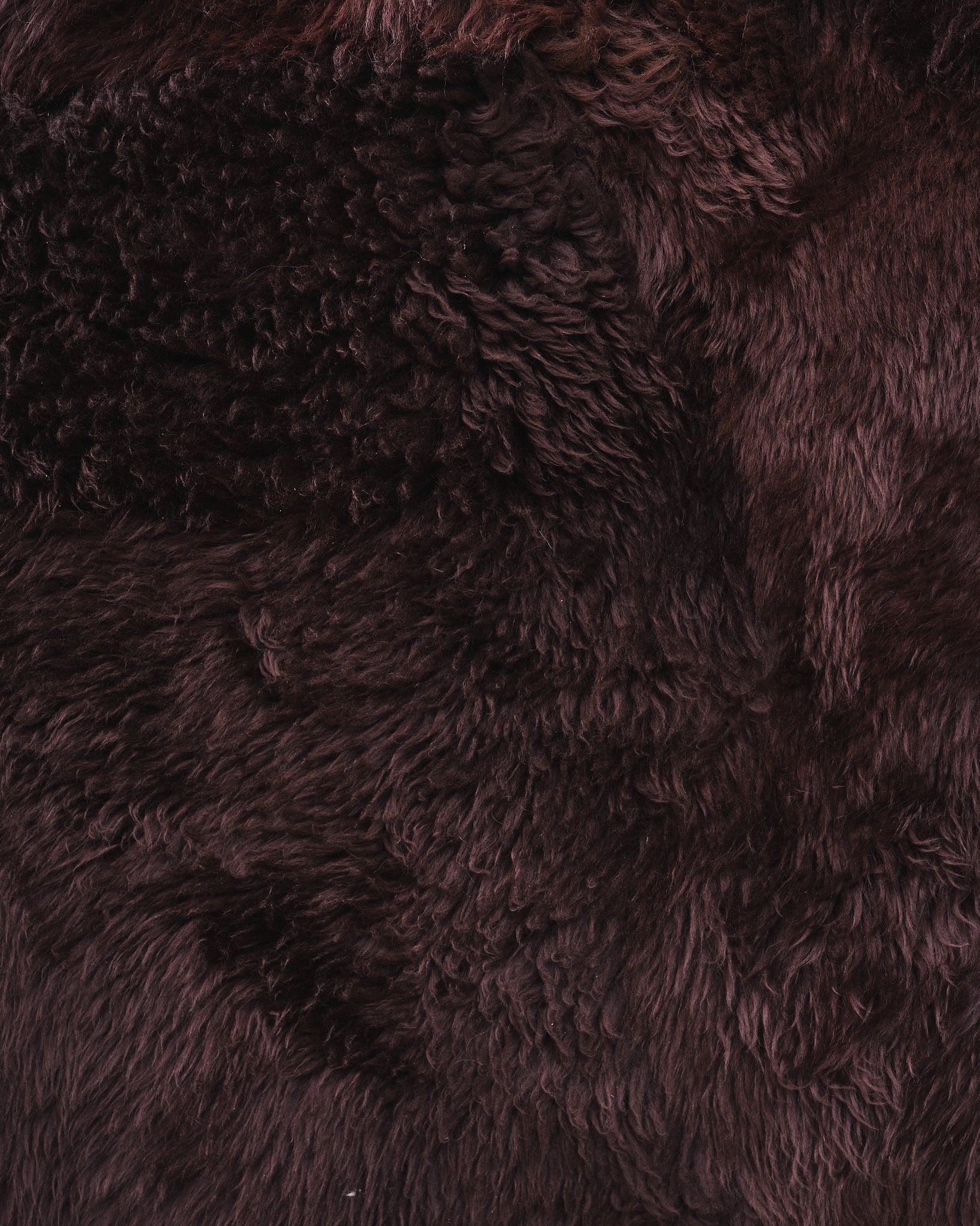 Patagonia Hide