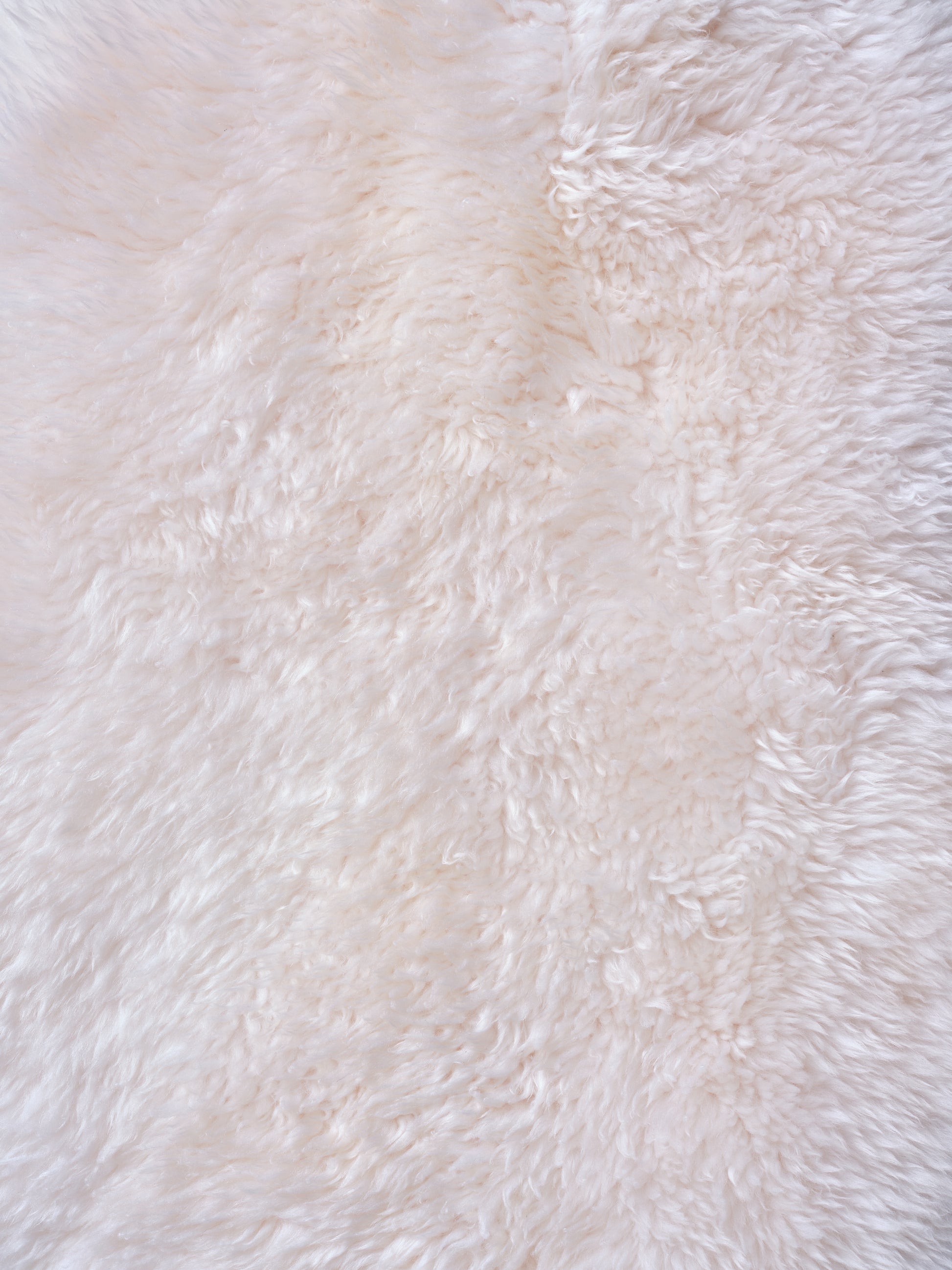 Natural Ivory