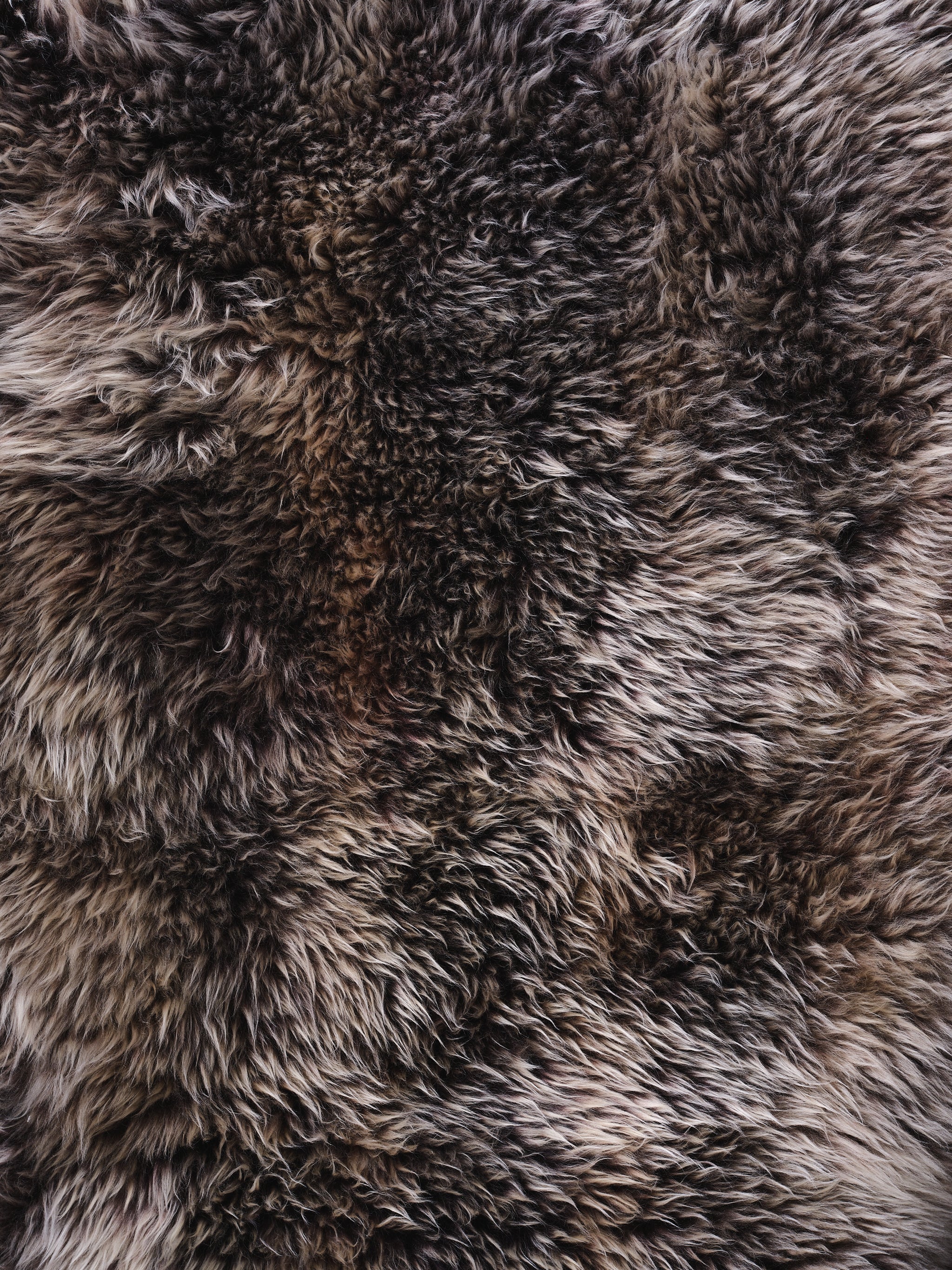 Snowy Brown